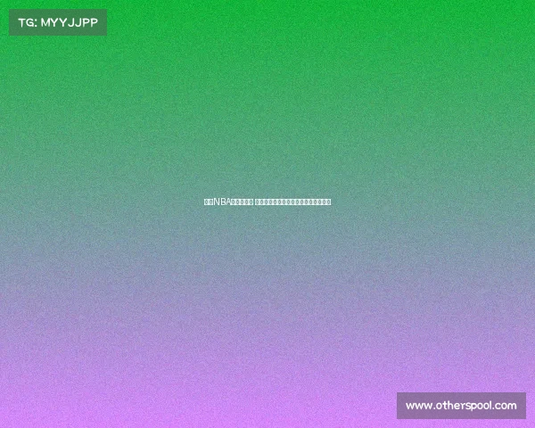 《与NBA巨星面对面 深度解读赛场背后的故事与人生哲理》